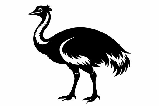 recommend clip art: simple vector silhouette of a Cassowary