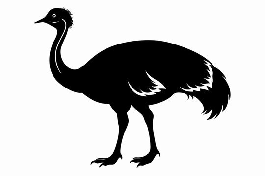 recommend clip art: simple vector silhouette of a Cassowary