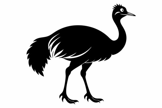 recommend clip art: simple vector silhouette of a Cassowary
