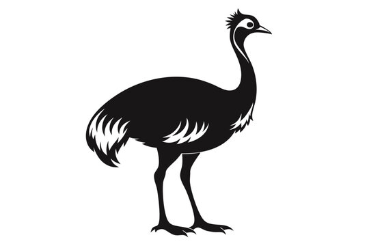 recommend clip art: simple vector silhouette of a Cassowary