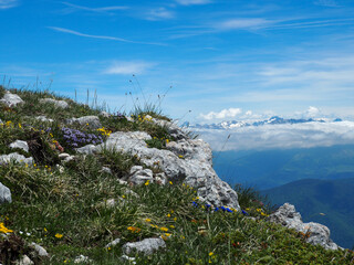 Paysage Nature Vercors France