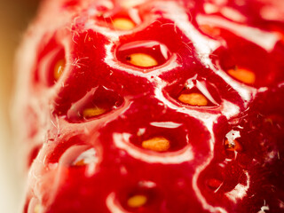 Gros plan Fraise Rouge 