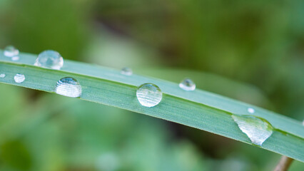 Gouttes d'eau Nature