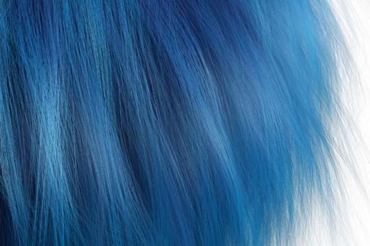 Blue hair with white background