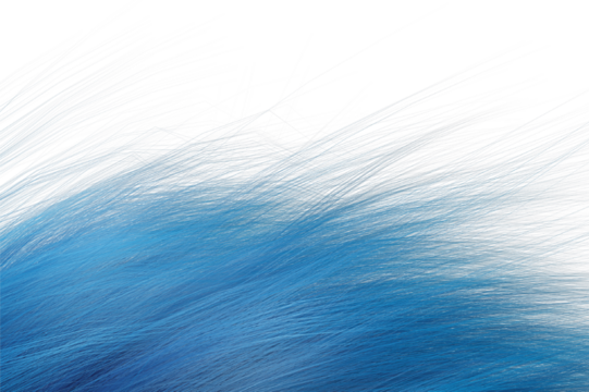 Blue hair with white background