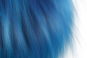 Blue hair with white background