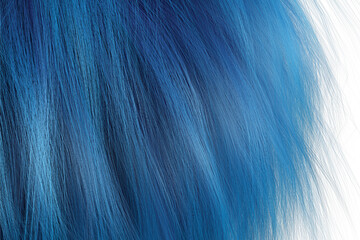 Blue hair with white background