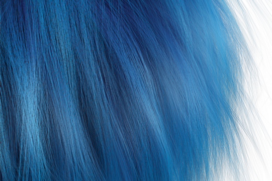 Blue hair with white background