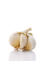 young garlic