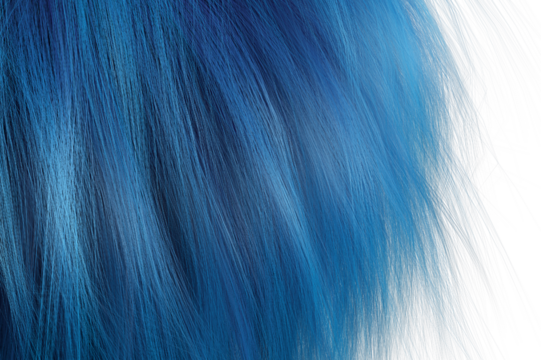 A close-up of a blue hair, Close up blue hair wave