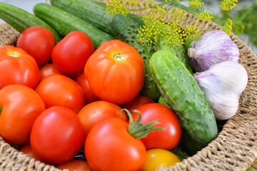 In the basket are tomatoes, cucumbers, garlic, dill. Harvesting in the garden