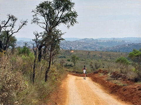 Cerrado Vegetation - Juquery park 