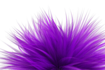 Obraz premium Purple black hair strand flowing gracefully