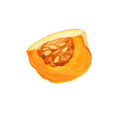 watercolor half of ripe orange pumpkin for cooking, piece of fruit with flesh and seeds, autumn harvest illustration, hand drawn sketch, white background