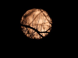 Spooky Moon