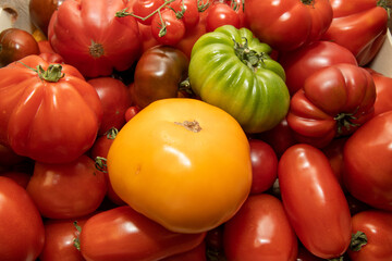 A large basket of lots of varieties of red green and yellow tomatoes