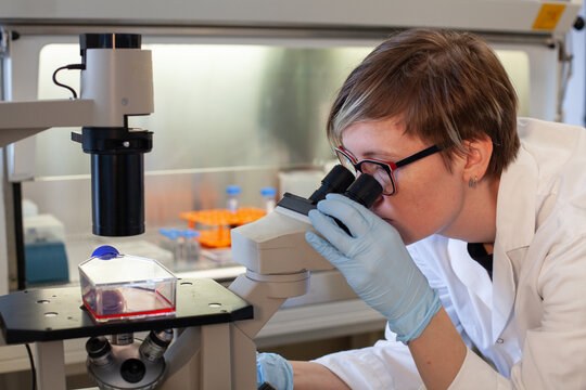 female scientist looking at the microscope in a lab, research