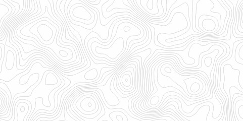 Vector drawing Topography wave line vector grid map. white wave line geography landscape Topo contour map on white background. Geographic mountain relief diagram line wave carve pattern.