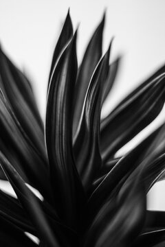 Abstract Texture