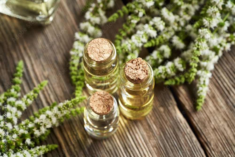 Wall mural essential oil bottles with fresh peppermint flowers