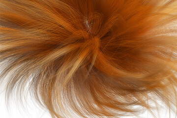 Naklejka premium Beautiful shiny caramel brown hair texture closeup.