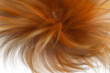 Naklejka premium Beautiful shiny caramel brown hair texture closeup.