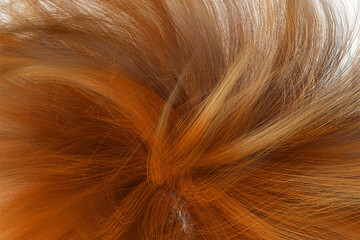 Fototapeta premium Beautiful shiny caramel brown hair texture closeup.