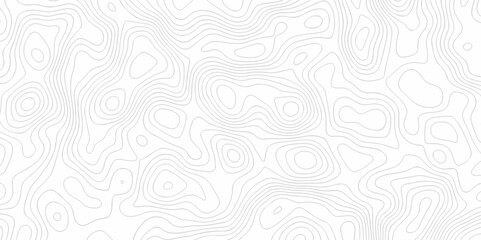 Topography wave line vector grid map. white wave line geography landscape Topo contour map on white background. Geographic mountain relief diagram line wave carve pattern.