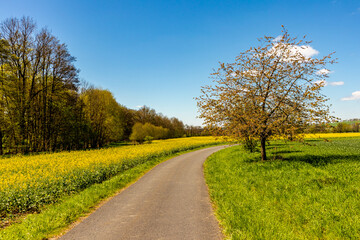 Unterwegs mit dem Fahrrad auf der 1. Werratal-Radweg Etappe von der Werraquelle bei Fehrenbach bis in Werratal bei Wernshausen - Th&uuml;ringen - Deutschland