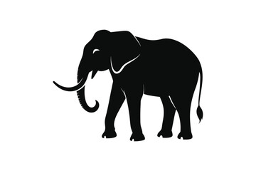 Obraz premium Elephant vector and art work