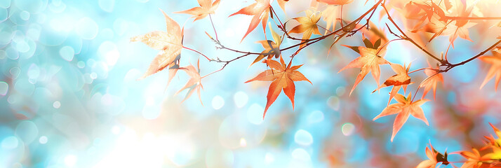 Fabulous autumn background with almost transparent cold blue sky and bright autumn leaves in sunlight, magical bokeh, gentle pastel colors.Background, wallpaper, banner, card