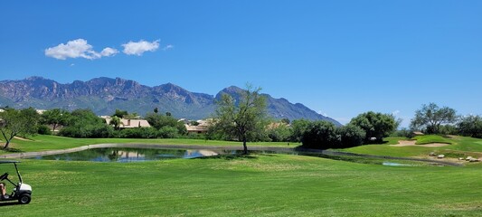 golf course in the morning