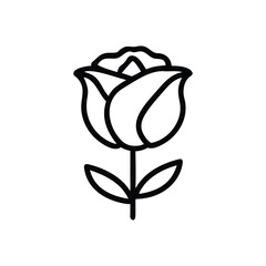  peony flower vector art icon  illustrator isolated on white background