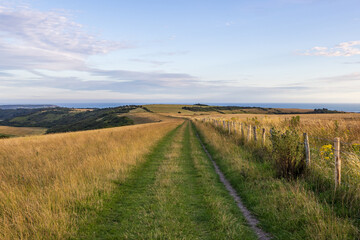 A sunny evening in the South Downs with a pathway through fields and the sea in the distance