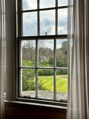 Naklejka premium window with a view