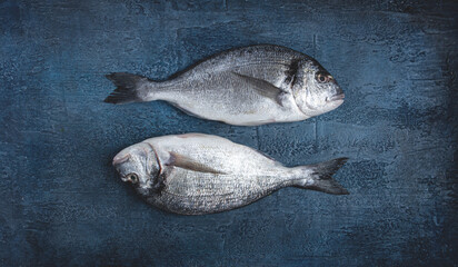 fresh raw dorado fish, on a dark blue background, top view, two pieces, no people,