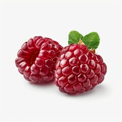 Medium shot of whole Loganberry near the sliced piece of Loganberry, isolated on a white 