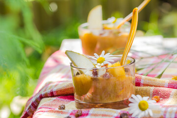 Summer drink garden smoothie pears nectarines raisins