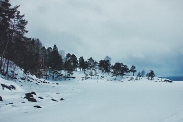 skiing in the mountains