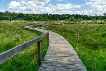 Sch&ouml;ner alter Holzsteg durch die Moorlandschaft im Diersfordter Wald im Sommer