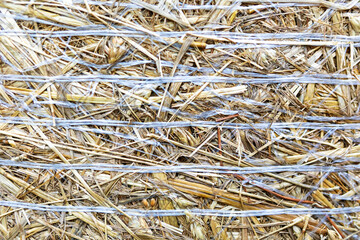 Close-up of a tightly packed round hay bale wrapped in white twine on a clean white background