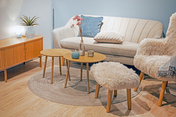modern interior with a sofa, armchairs and a table and a decorative flower in the living room