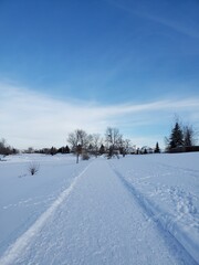 Fototapeta premium winter landscape with snow