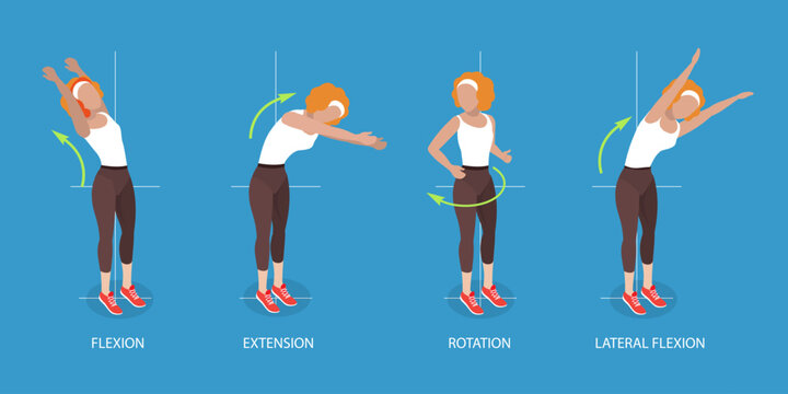 3D Isometric Flat Vector Illustration of Spine Movements, Movement and Action for Spinae Muscles Health