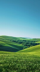 Obraz premium Dawn Landscape of Lush Green Fields and Hills Under a Bright Blue Sky, an Idyllic Illustration of Nature's Morning Serenity
