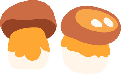Mushroom boletus vector illustration isolated white background. Forest fungi harvest