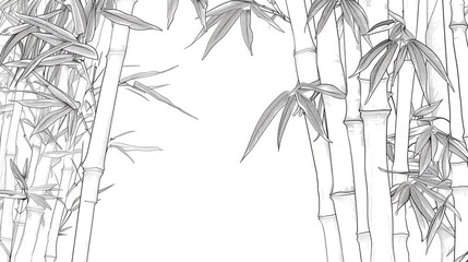 Straight Bamboo Outline