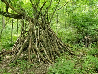 Creepy handmade wooden teepee in the woods