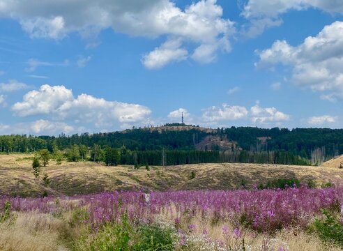 Eine Wanderung zu Stierberteich im Oberharz vorbei an der Sprungschanze in Benneckenstein, der Harzer Schmalspurbahn und dem Carlshausturm auf der Carlshaush&ouml;he