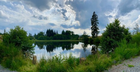 Obraz premium Stempelstelle 48 der Harzer Wandernadel / Stierbergsteich